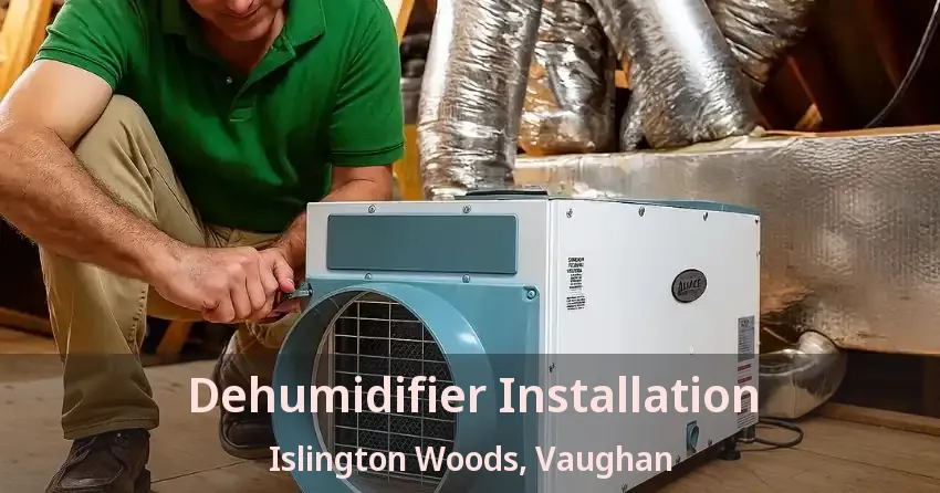 Dehumidifier Installation Islington Woods, Vaughan - ON