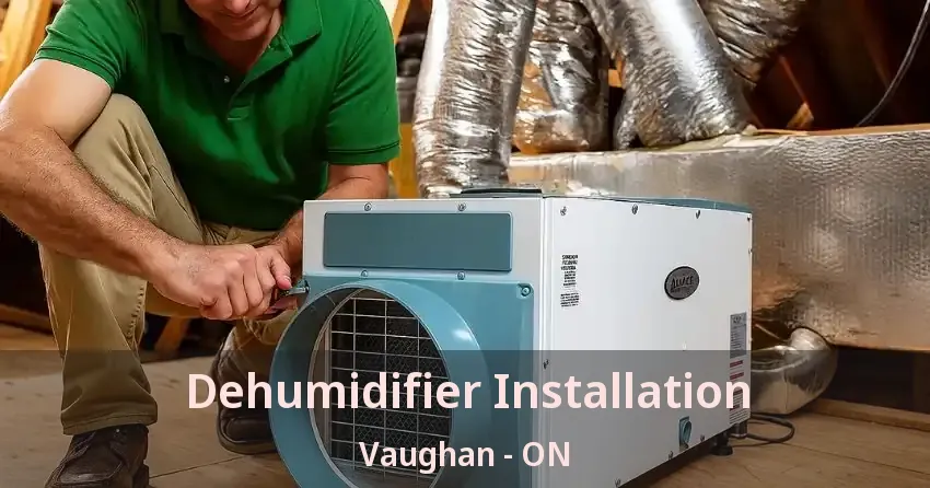 Dehumidifier Installation Vaughan - ON