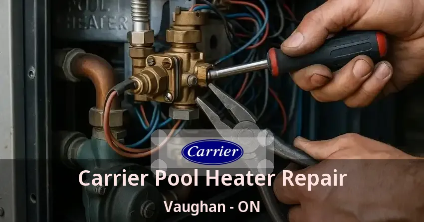 Carrier Pool Heater Repair Vaughan - ON